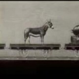 Encyclopedie de grand-maman